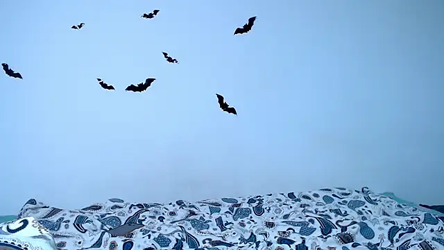 litle owl online show from November 2025 06:23:01 PM