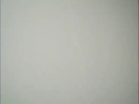 fcach2244 online show from November 2025 02:20:02 PM