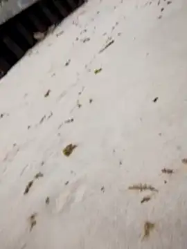 Snapshot of sarahkat86 chatting on October 2025 07:14:01 PM sarahkat86 online show from October 2025 07:14:01 PM