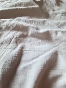 Snapshot of lucamila2903 chatting on September 2025 07:03:02 AM lucamila2903 online show from September 2025 07:03:02 AM