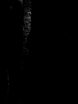 Snapshot of Mateo_6910 chatting on September 2025 03:45:02 AM Mateo 6910 online show from September 2025 03:45:02 AM