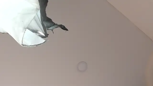 sweet  vanessa1 online show from March 2026 07:39:01 PM