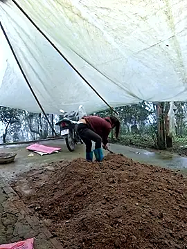 ngocngoc cute online show from March 2026 02:40:01 AM