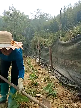 ngocngoc cute online show from April 2026 03:56:01 AM