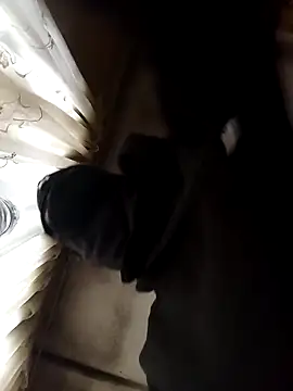 Snapshot of BlessingShikisha chatting on March 2026 04:24:01 AM BlessingShikisha online show from March 2026 04:24:01 AM