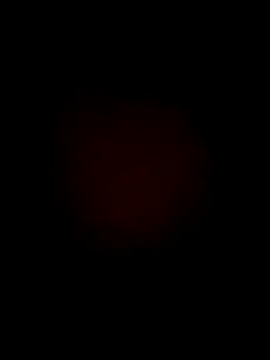 Snapshot of lebonfeu chatting on September 2025 08:32:01 AM lebonfeu online show from September 2025 08:32:01 AM