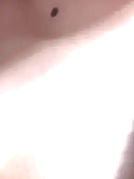 LINA-DALOUA online show from November 2025 03:12:01 PM