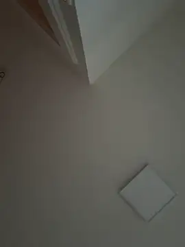 Gipsyboysteve online show from November 2025 03:17:02 PM