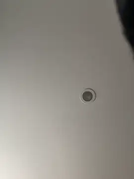 Gipsyboysteve online show from February 2026 02:57:02 PM