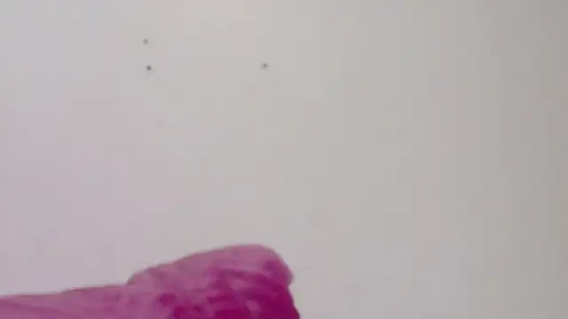 habdiela online show from February 2026 03:04:01 AM