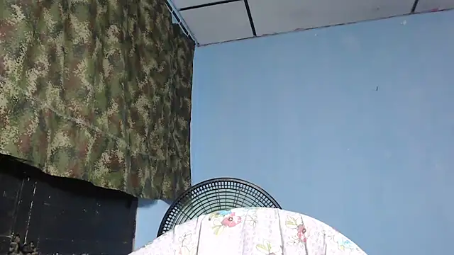 maggi hotsson online show from November 2025 11:53:01 PM