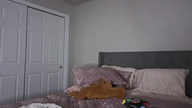 Snapshot of bambifarrina chatting on October 2025 01:53:02 AM bambifarrina online show from October 2025 01:53:02 AM