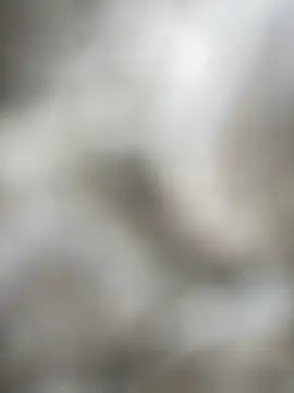 Foxxy Doll online show from February 2026 03:19:02 PM