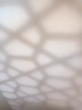 bullut06 online show from January 2026 11:06:01 AM