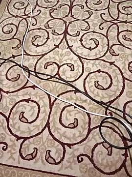 bullut06 online show from November 2025 02:59:01 AM