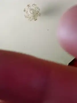 bullut06 online show from February 2026 10:25:02 AM