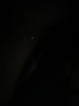 anna yngs online show from November 2025 11:15:02 AM