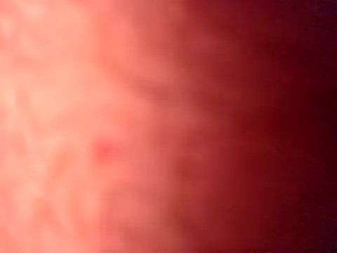iamthepublickmasterbater online show from April 2026 03:57:02 PM