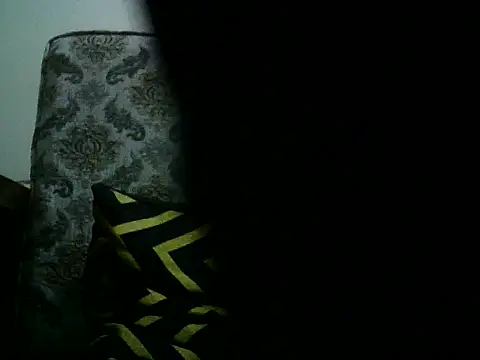 Snapshot of DhakaBabe chatting on November 2025 04:52:02 PM DhakaBabe online show from November 2025 04:52:02 PM