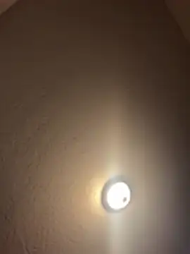 1n0nlythroat online show from January 2026 06:15:02 PM