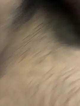 jackey3193 online show from April 2026 01:25:01 PM