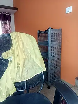 Chadni kannada online show from October 2025 04:33:02 AM