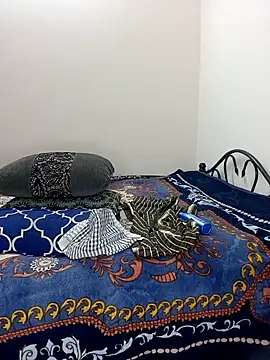 Chadni kannada online show from February 2026 04:50:02 PM