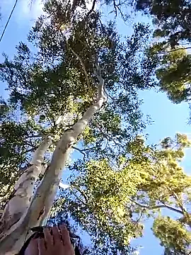 M4tute online show from April 2026 07:49:01 PM