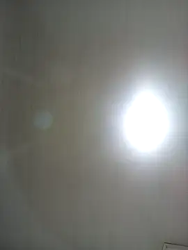 amelie sex online show from December 2025 11:00:01 PM