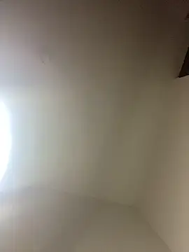 ysuaid online show from February 2026 07:19:01 AM