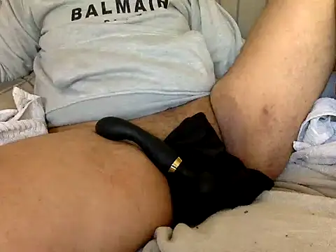 CaiBull online show from February 2026 08:48:01 AM