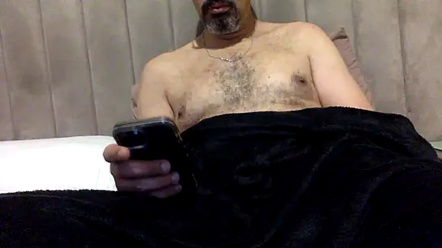 CaiBull online show from June 2026 02:44:02 AM