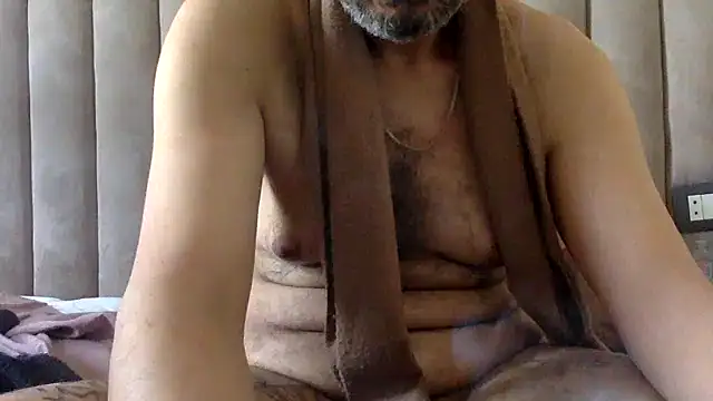 CaiBull online show from May 2026 08:00:02 AM