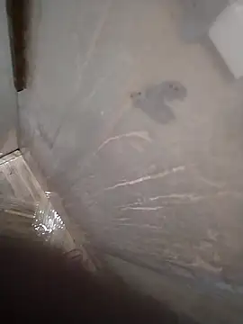 Pio185 online show from February 2026 10:32:01 PM