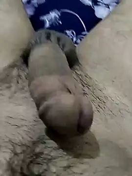 Zepe 12 online show from October 2025 03:31:02 AM