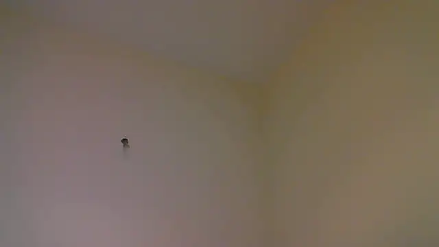 str8matesirishoz online show from October 2025 04:00:02 AM