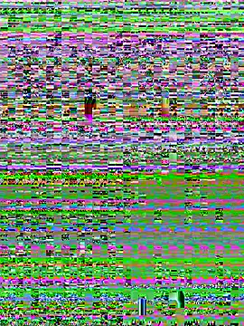YOOUR EVAA online show from July 2026 09:10:01 AM