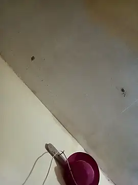 Snapshot of RandalHot chatting on November 2025 09:37:01 PM RandalHot online show from November 2025 09:37:01 PM