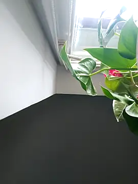 Czarnoksieznik online show from November 2025 12:10:02 PM