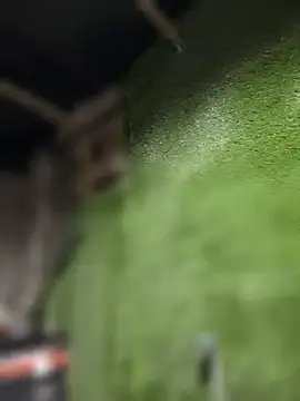 Czarnoksieznik online show from April 2026 07:52:01 PM