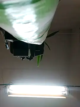 Czarnoksieznik online show from October 2025 04:52:02 PM