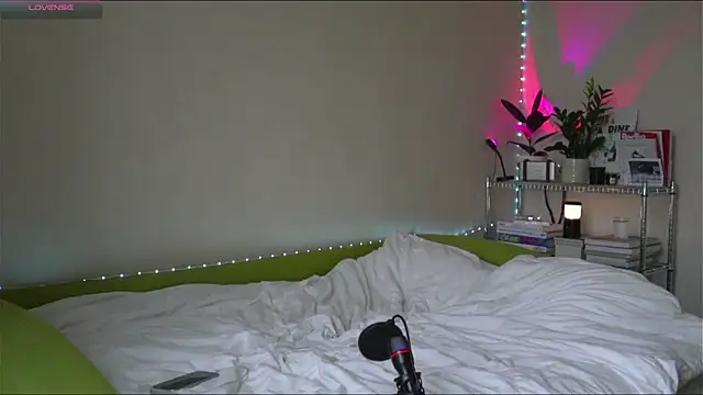 BoyTurtle online show from November 2025 11:14:02 AM