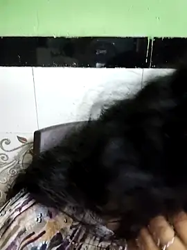 Zoya G online show from March 2026 10:26:02 AM