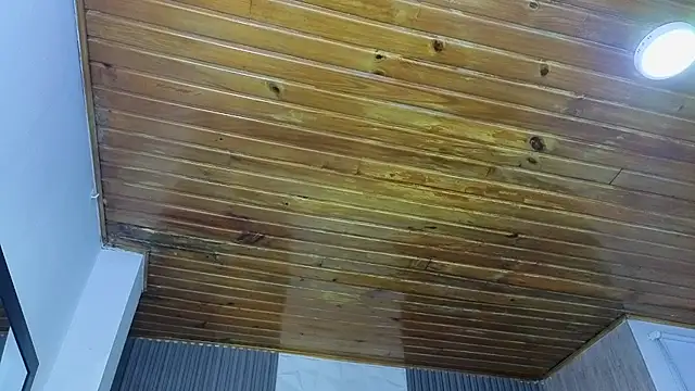 Bonnali lune online show from April 2026 04:46:01 AM