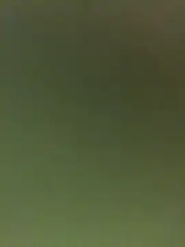 JuanitaMore01 online show from February 2026 09:56:02 PM