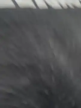 JuanitaMore01 online show from February 2026 10:23:02 PM