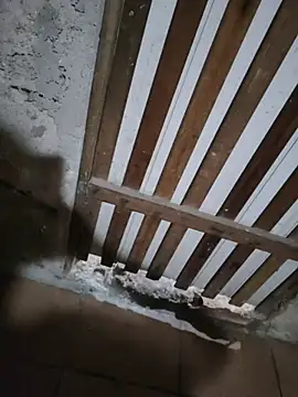 011Nort online show from November 2025 04:46:01 PM