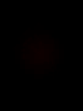 armandoluisorrrkw3323 online show from April 2026 12:40:02 AM