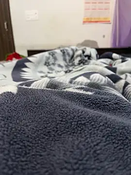 jackyw online show from November 2025 11:58:02 AM