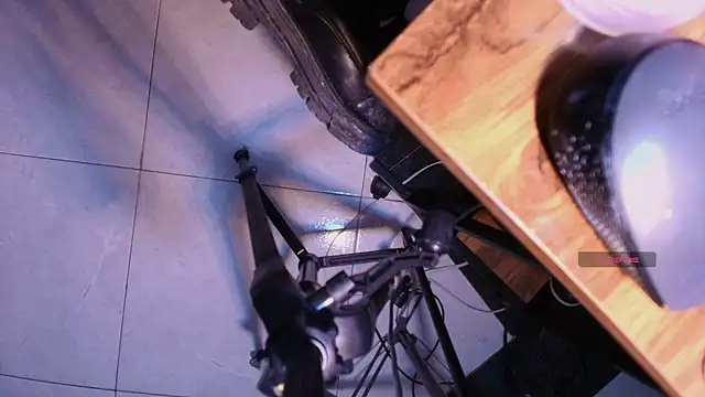 Terraelowen online show from November 2025 11:37:01 AM